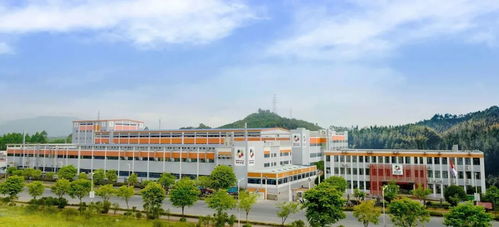 中红医疗子公司恒保防护获评桂林市2022年产业振兴创新企业