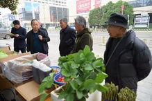 部门动态丨上蔡县农业局启动绿色食品宣传月活动