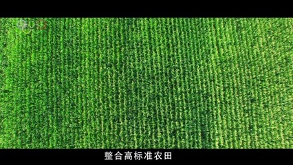 蓝光映像作品:《奥环模式产好粮》自贡市农业局