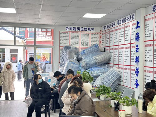 求职者 中介 工厂,劳务市场里的去留进退 上海,谁在进厂 ①