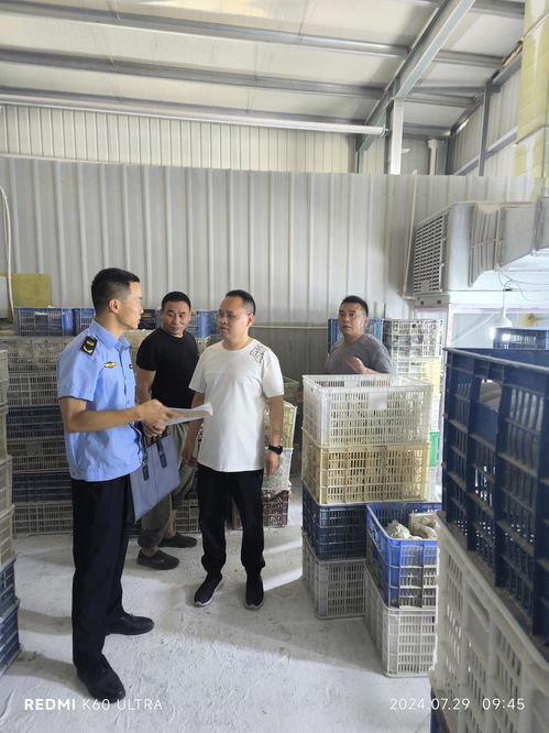 福建泉州洛江开展树脂工艺品行业专项整治 守护城市好 气质