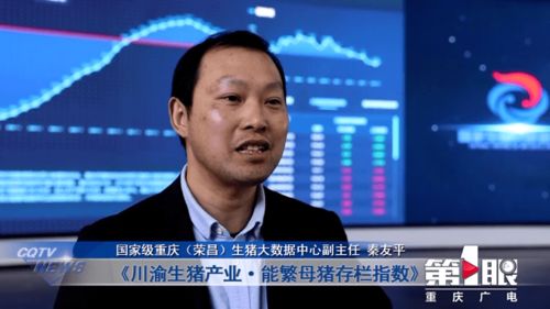 川渝携手共同推动城乡融合发展