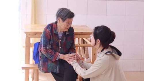 三下乡 社会实践活动丨成都农业科技职业学院走进自贡市组织开展系列社会实践活动