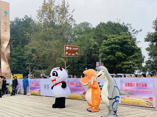 打造成渝地区特色消费目的地 四川自贡推介文旅和农业项目