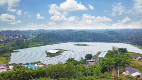 全市首个 四川自贡大安获批创建国家农村产业融合发展示范园