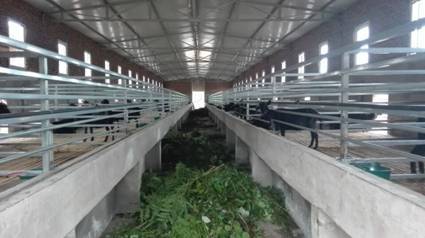 “荥经县2000只优质种羊产业基地建设项目”顺利通过省、市、县联合验收组验收