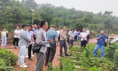 荣县举办庆祝全国科技工作者日学习交流活动