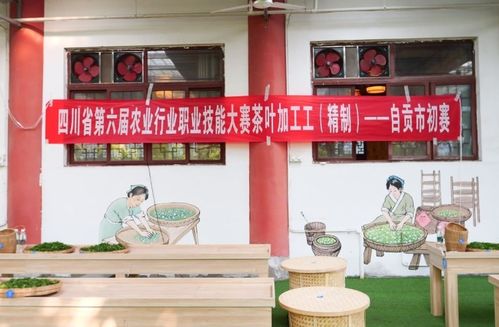 茶艺大比拼,匠心传技艺——自贡市茶叶加工工精制初赛在荣县圆满落幕