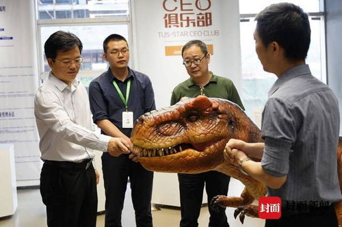 陈扬杰调研高新区 党建引领企业文化建设,智能彩灯闪耀创新之光