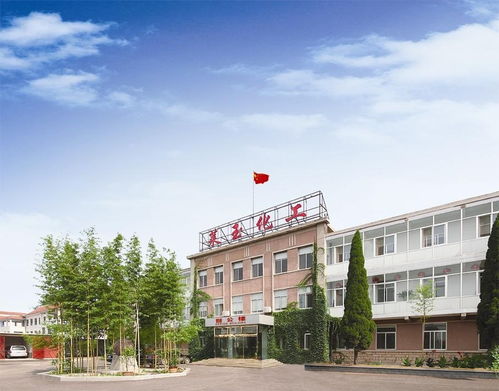 莱州市莱玉化工与自贡市农业局的产业协同发展前景探究