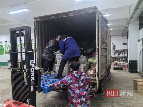 雪后武汉鲜活农产品产销两旺,日均交易量突破7000吨